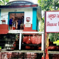 हिमालको भविष्य बचाउन हिमालयन क्लाइमेट चार्टर