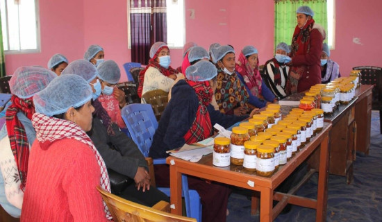 छत्रकोटमा नेकपा एमालेका रामप्रसाद पाण्डे विजयी