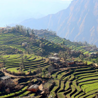 पहुँचका आधारमा विकास