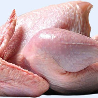 गुलर्या माघ महोत्सवको तयारी पूरा