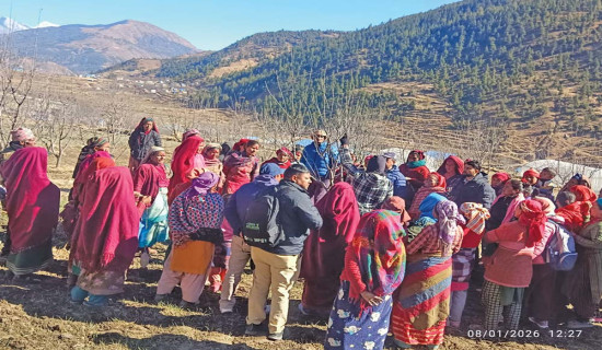 स्याउ बगैँचा व्यवस्थापन अभियान सुरु