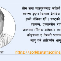 साहित्यभित्र फस्टाएको पत्रकारिता जगत्