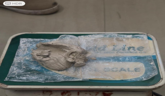 छोराद्वारा बाबुआमाको हत्या