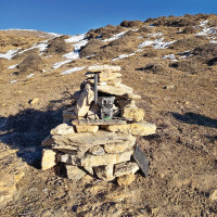 स्थानीय तहले सुरु गरे लार्भा मार्ने अभियान