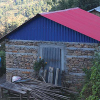 स्थानीय तहले सुरु गरे लार्भा मार्ने अभियान