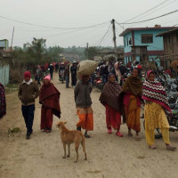 त्रिवि सभाको फरक दृश्य