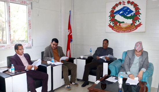 सडक मर्मत समूह निर्देशिका स्वीकृत