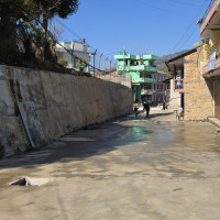 मानव स्वास्थ्यका लागि हानिकारक