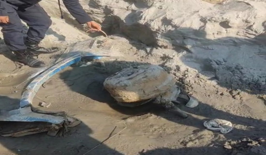 हराएको अठार महिनापछि गाडिएको अवस्थामा बस फेला