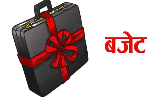 भेदभाव न्यूनीकरण बजेट माग