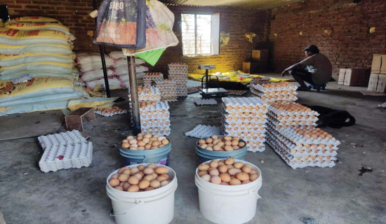 वार्षिक नौ करोड अन्डा उत्पादन