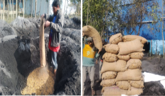 आजको राशिफल