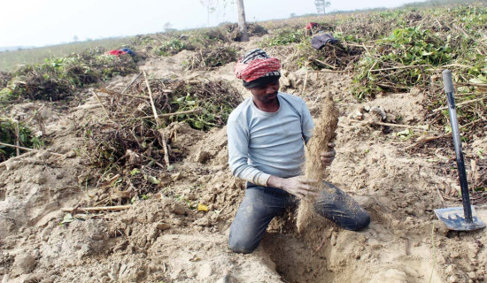 आजको राशिफल