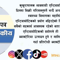 हरित निर्वाचन अभियान सुरु