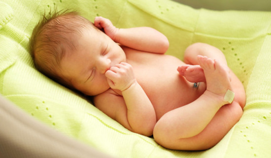 हरित निर्वाचन अभियान सुरु