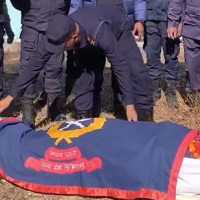 किसानले पाएनन् तरुलको उचित मूल्य