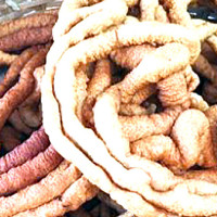 आज तराईका अधिकांश स्थानमा हुस्सु र कुहिरो