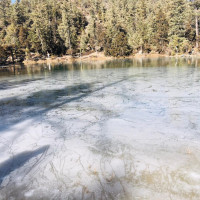 यस्तो छ आजका लागि कालीमाटीको कृषिउपज थोक मूल्य