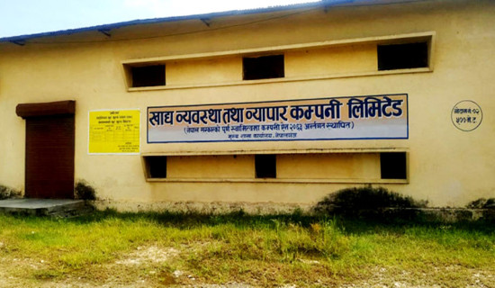 सस्तोमा धान बिक्री गर्न बाध्य किसान