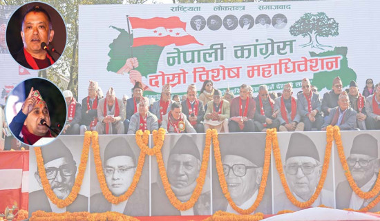 ५६.१२ प्रतिशत प्रतिनिधि सहभागी