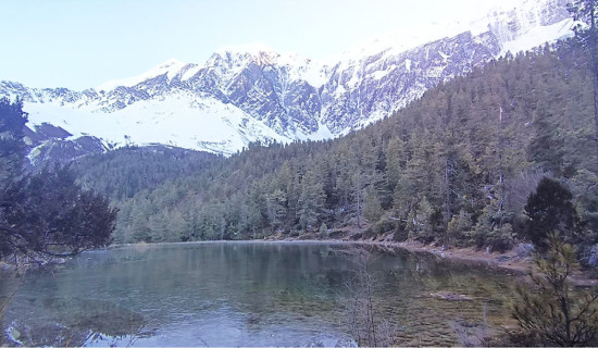 बैतडीमा जिप दुर्घटना हुँदा तीन जनाको मृत्यु