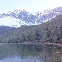 सस्तोमा धान बिक्री गर्न बाध्य किसान