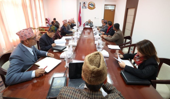 नेप्से परिसूचकमा १३ अङ्कको गिरावट