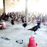 ताप्लेजुङमा दुई मतदान स्थल थप