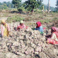 ताप्लेजुङमा दुई मतदान स्थल थप