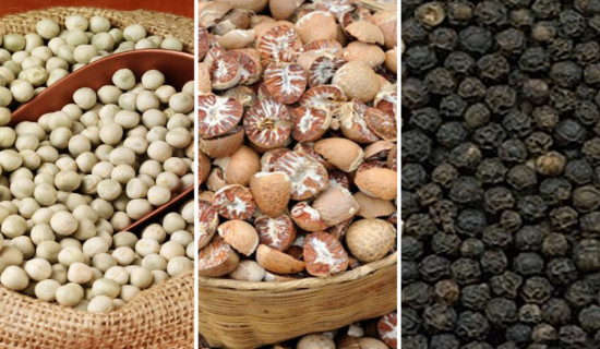 सुपारी, केराउ र मरीचको आयात खुला