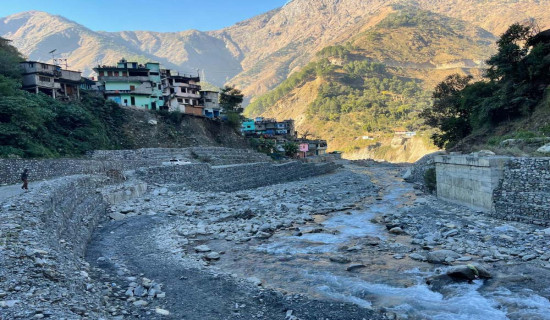 कोरिडोरका चालिसमध्ये दुई पुल निर्माण हुने