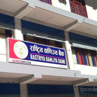 महोत्सवले आर्थिक गतिविधि चलायमान