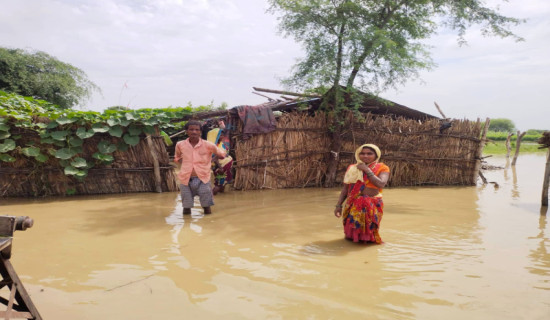 बाँकेको चौफेरी गाउँमा बाढी पस्यो