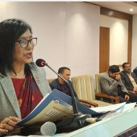 परराष्ट्रमन्त्री डा. राणासँग अमेरिकी राजदूतको शिष्टाचार भेट