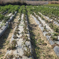 काठमाडौँका विभिन्न स्थानमा आज बिजुली कटौती हुने