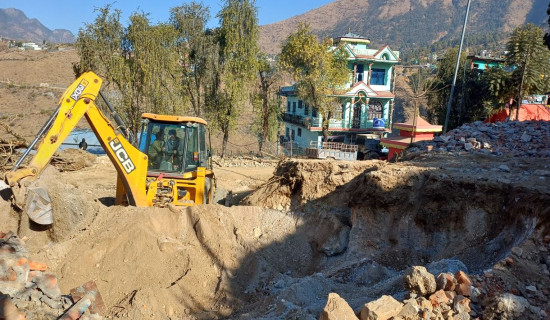 आलुमा डढुवाको प्रकोप