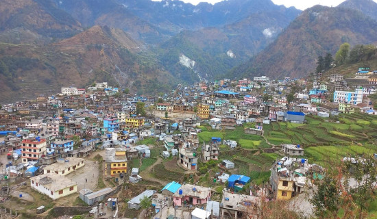 घरैघरले भरिँदै मार्तडी जिउलो