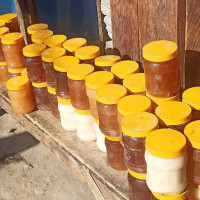 ‘निर्वाचनको माहोल बनिसक्यो’ एकै चरणमा निर्वाचन हुने