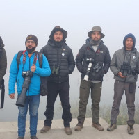 जापानिज इन्सेफलाइटिसबाट मृत्यु हुनेको सङ्ख्या बढ्दै