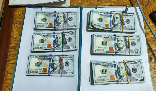 मुखै रसाउने लटरम्म सुन्तला (फोटो फिचर)