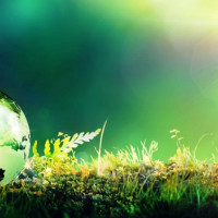 तीन कृतिमाथि अन्तरविमर्श