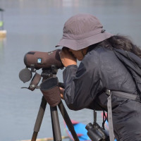 प्रधानन्यायाधीश राउत अस्पताल भर्ना