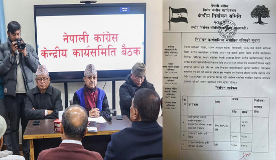 सानेपामा केन्द्रीय कार्यसमिति बैठक : भृकुटीमण्डपमा निर्वाचन कार्यतालिका संशोधन