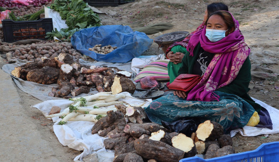 तरुलको व्यापार