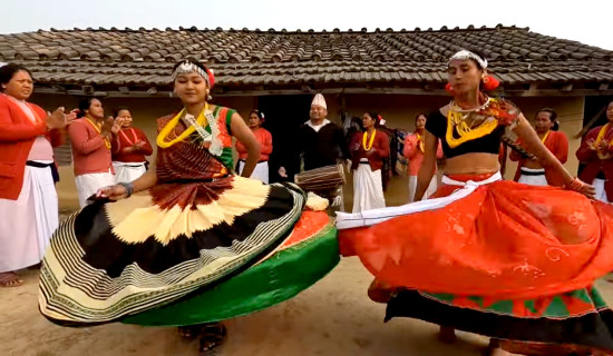 थारु समुदायमा धुमधाम माघ पर्व