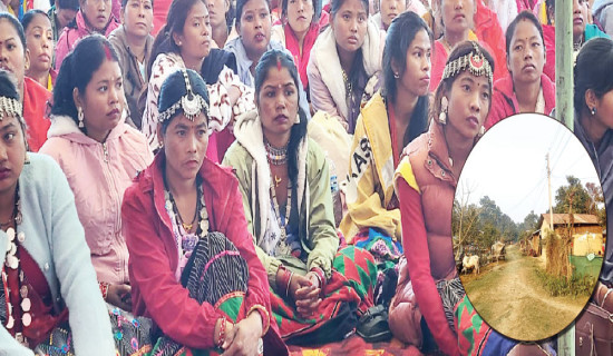 अधुरो मुक्तिबिच उत्सव