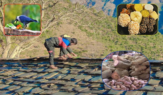 सुदूरपश्चिममा नरहरी पर्व मनाइँदै