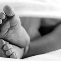 मानवसेवा आश्रम बागलुङद्वारा २२६ जनाको उद्धार