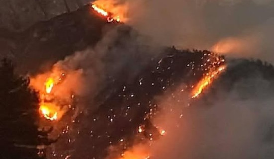 सुख्खा र खडेरीका कारण हुम्लाका वनमा आगलागी बढ्दै