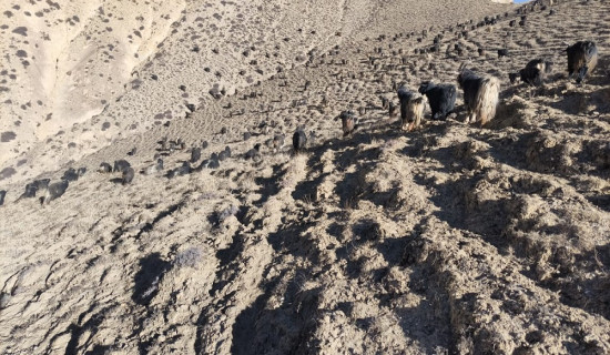 जलवायु परिवर्तन : अग्ला पहाडमा छैन हिउँ